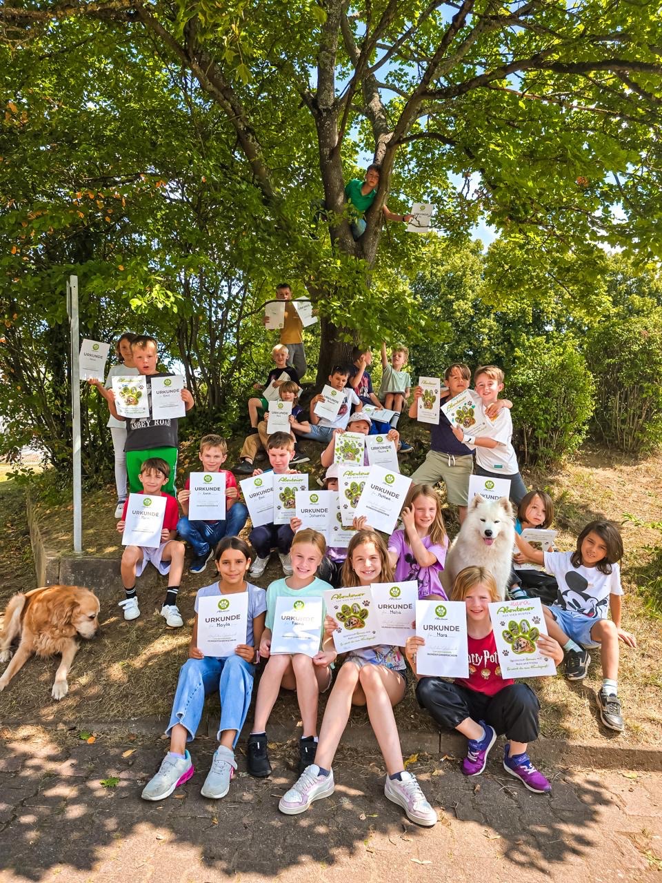 Der Hundeführerschein in Frankfurt: Ein Tag voller Abenteuer für Ihr Kind - Abenteuer auf vier Pfoten