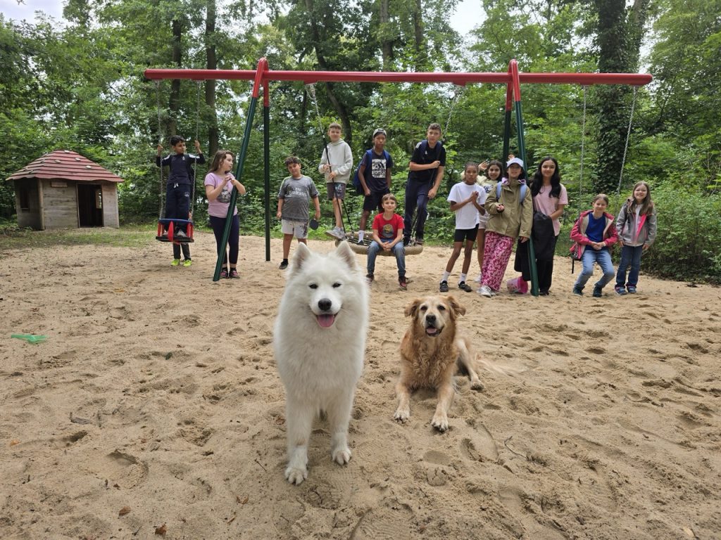 Stadtkind Naturerlebnisse